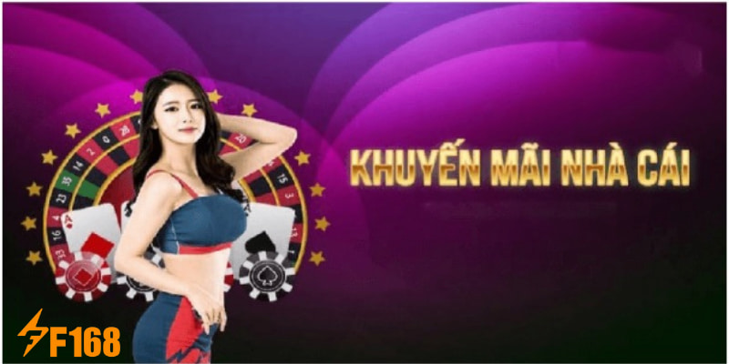 Khuyến mãi đặc biệt tặng combo sản phẩm 3 trong 1&nbsp;